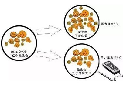 Adsorption dryer price market range