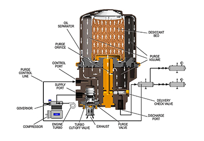 How often should a truck compressed air dryer purge?